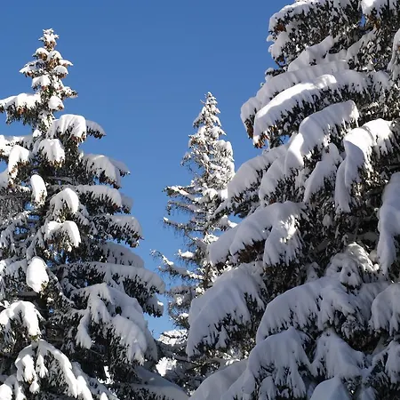 スイスフレア ツェルマット