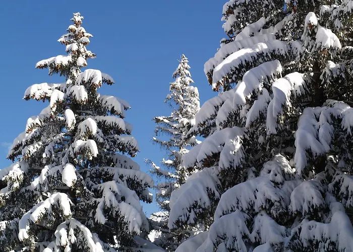 スイスフレア ツェルマット